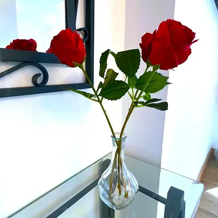 Apartament La Finquita